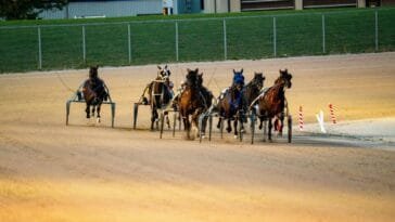 Hippos-ATG Oy jätti lisenssihakemuksen – hevosvedonlyönti siirtyy uuteen vaiheeseen