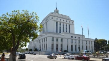 Taidejärjestön johtaja kavalsi 1,8 miljoonaa dollaria — yli 300 tilisiirtoa kasinoille neljässä vuodessa