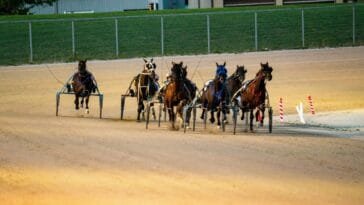 Savonlinnaan ja Helsinkiin osuneet yli 760000 euron Toto-jättivoitot kuvattuna ravipelin tunnelmassa
